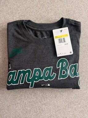 Nike Men’s Dark Gray MLB Tampa Bay Rays Graphic Tee with Green and White Logo